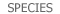 Available photos listed by species