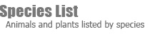 Animals and plants listed by species