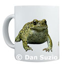 Frog and toad mugs