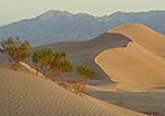 Ibex dunes, Death Valley